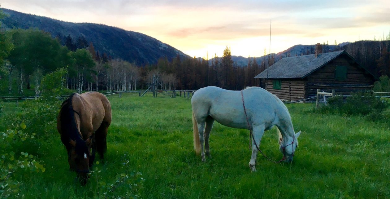 Apgar View Ranch